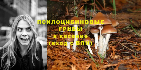 СК Магадан