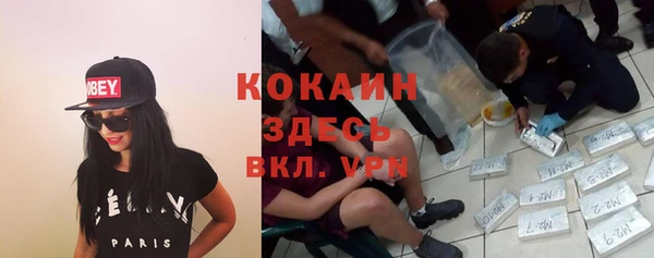 гидра Майский