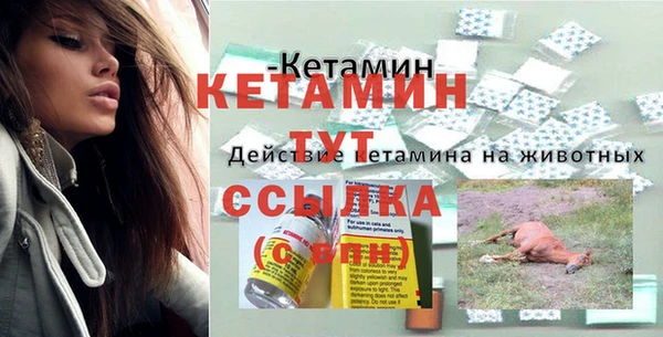 гидра Майский
