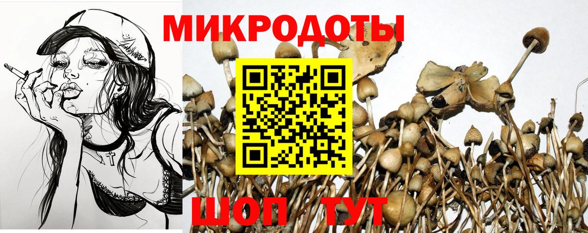 Галлюциногенные грибы Magic Shrooms Первоуральск